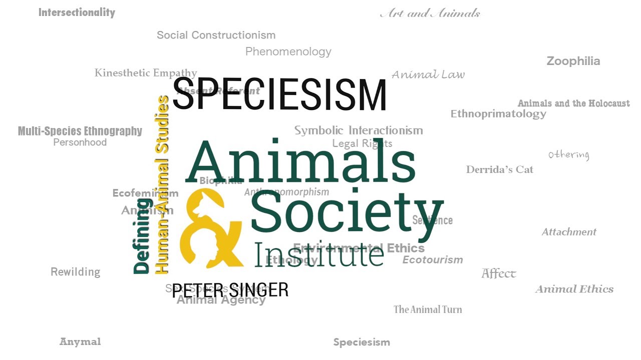 Defining Speciesism with Peter Singer - ASI's Defining Human-Animal Studies 03