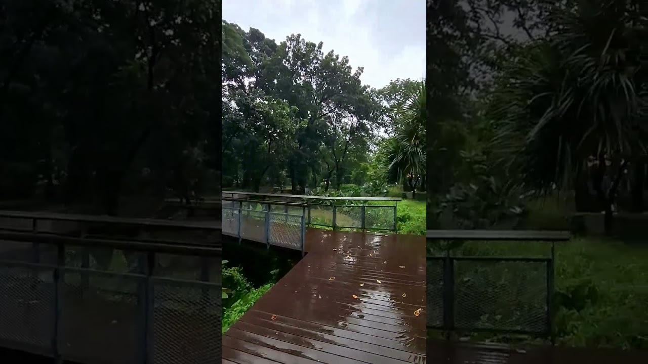 Tebet eco park after rain