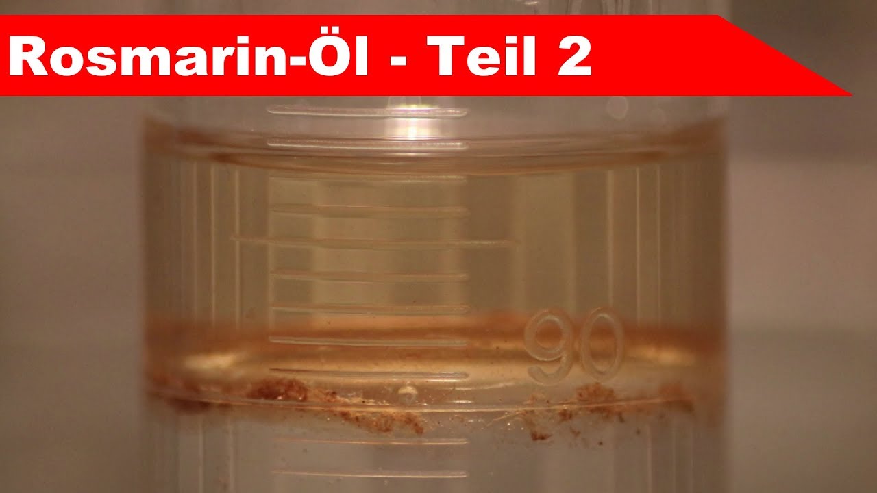 🌷 Getrockneten Rosmarin destillieren 🌻 - ätherisches Rosmarin-Öl selber machen Teil 2 - diSTILLed