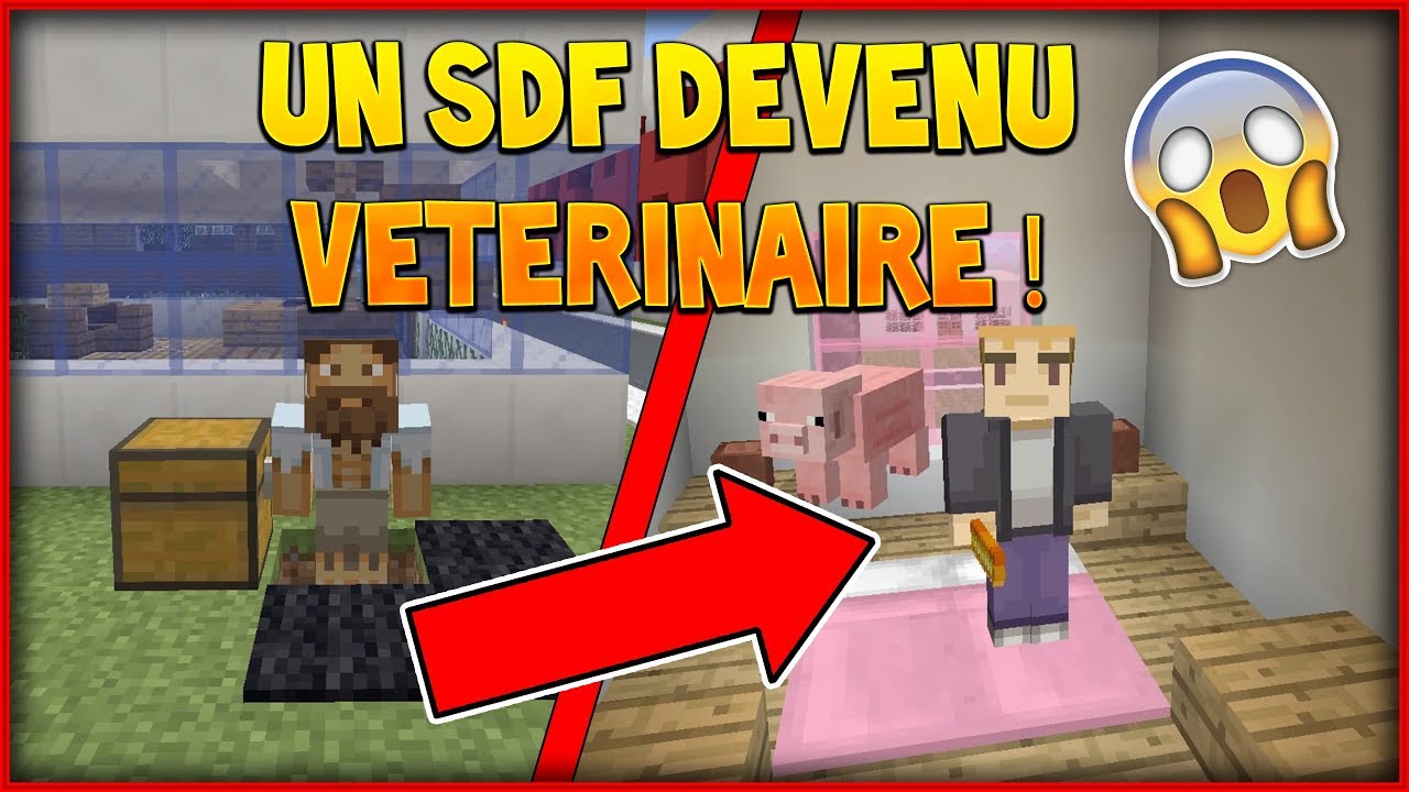 MINECRAFT FILM - UN SDF DEVENU VÉTÉRINAIRE !
