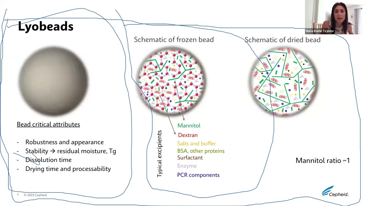 Freeze-drying cycle parameters and considerations for the formulation characteristics of LyoBeads