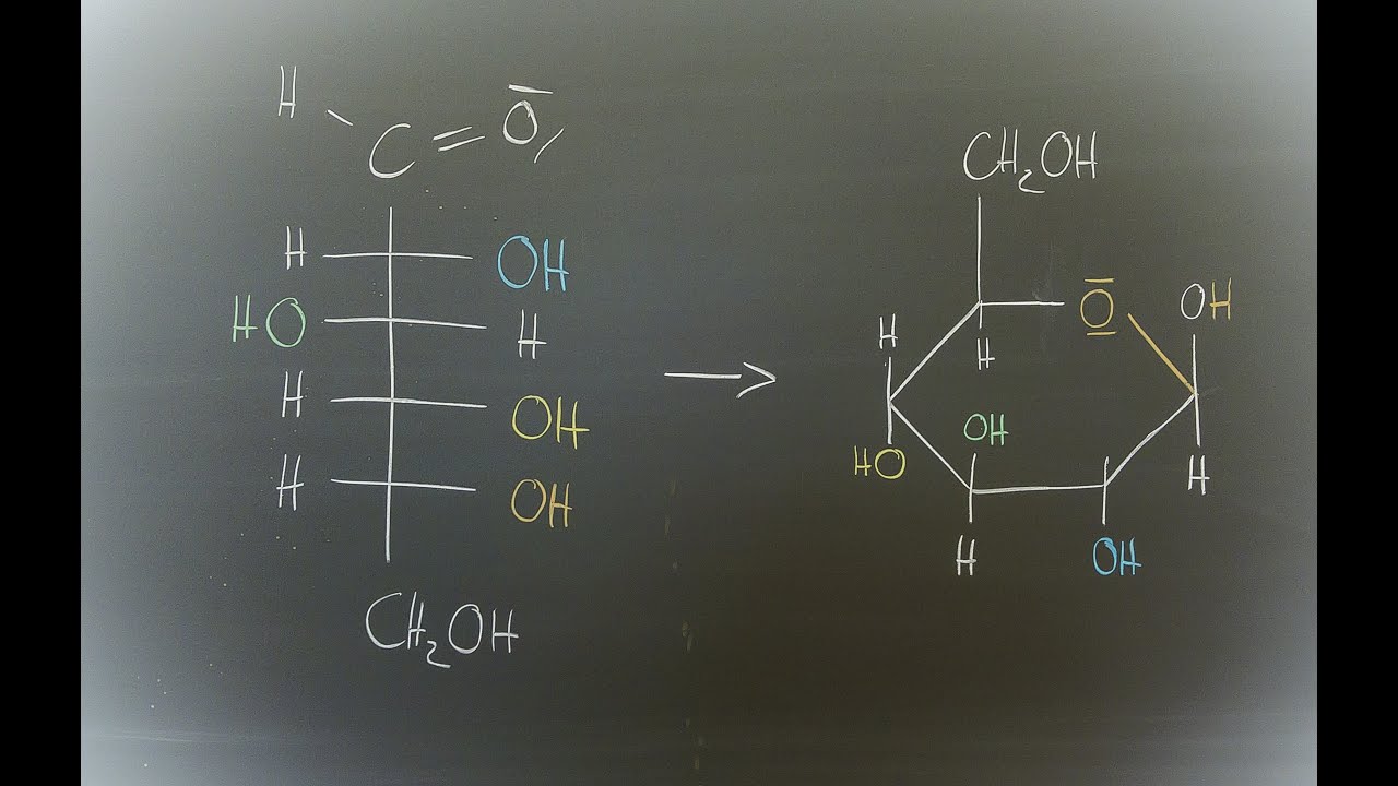 Von der Ketten- zur Ringform - Halbacetalbildung der Glucose