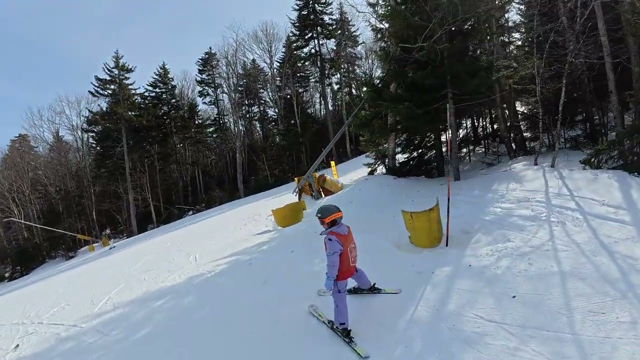 Avery snowshoe 2026