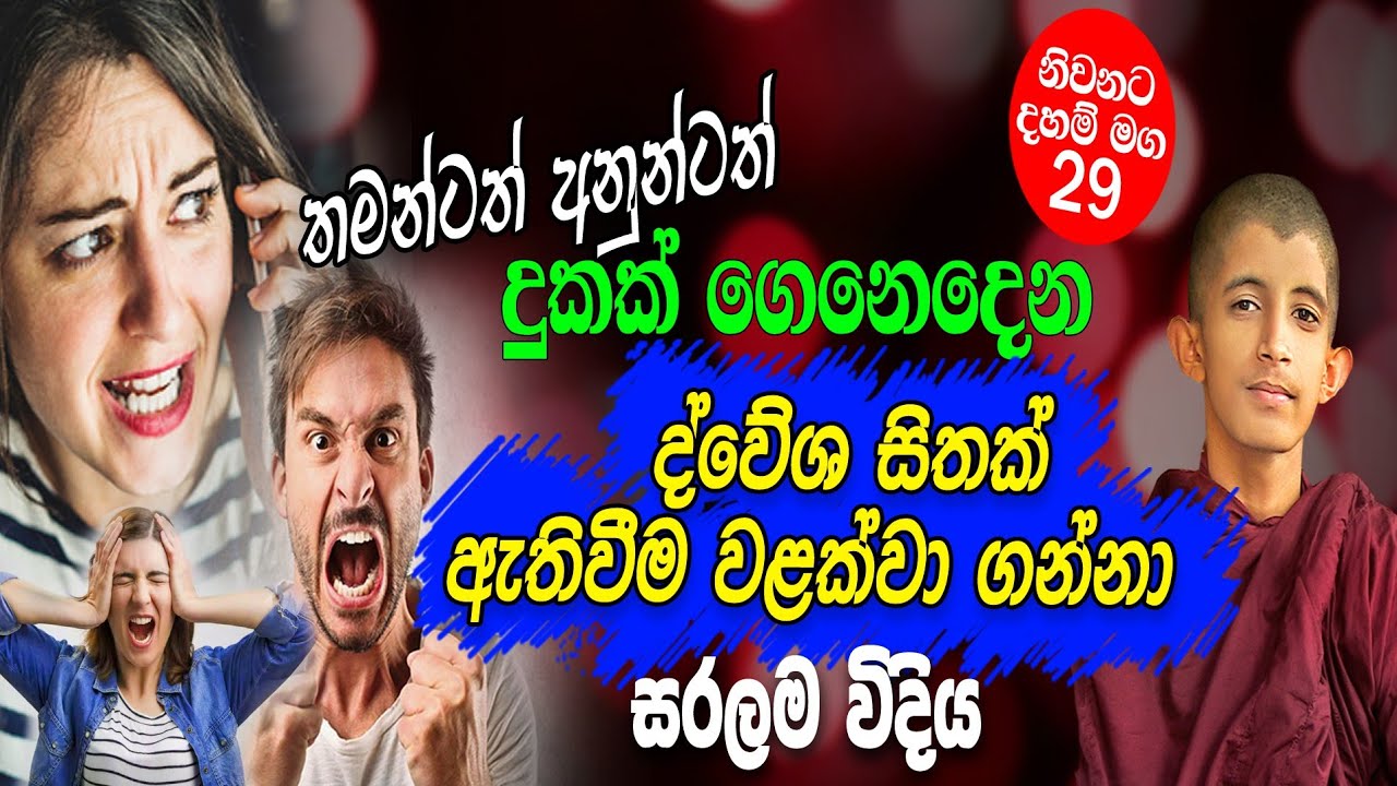 තමන්ටත් අනුන්ටත් දුකක් ගෙන දෙන තරහ හෙවත් ද්වේශය වලක්වා ගන්නා බුදුන් දෙසූ පහසු මග (Part 29)#helayeapi