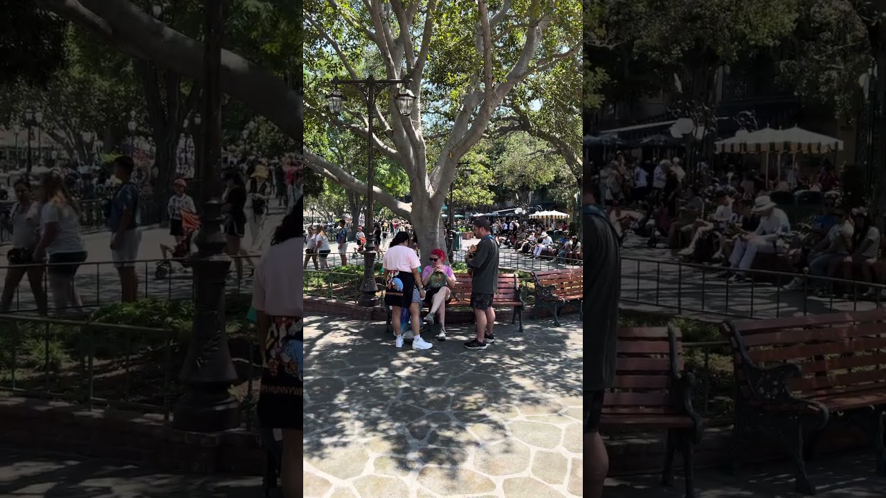 The Vibe of New Orleans Square from Magnolia Park (Once Again)! #disneyland #neworleanssquare