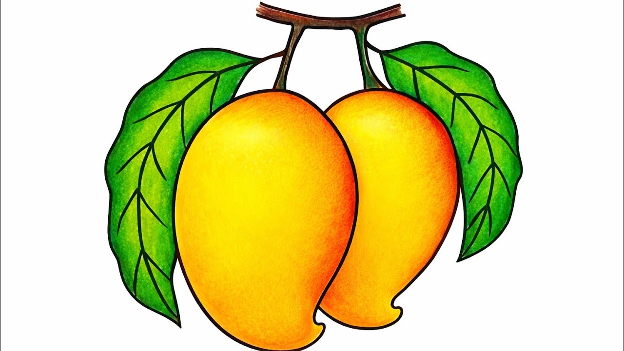 Mango art||How to draw mango drawing step by step 