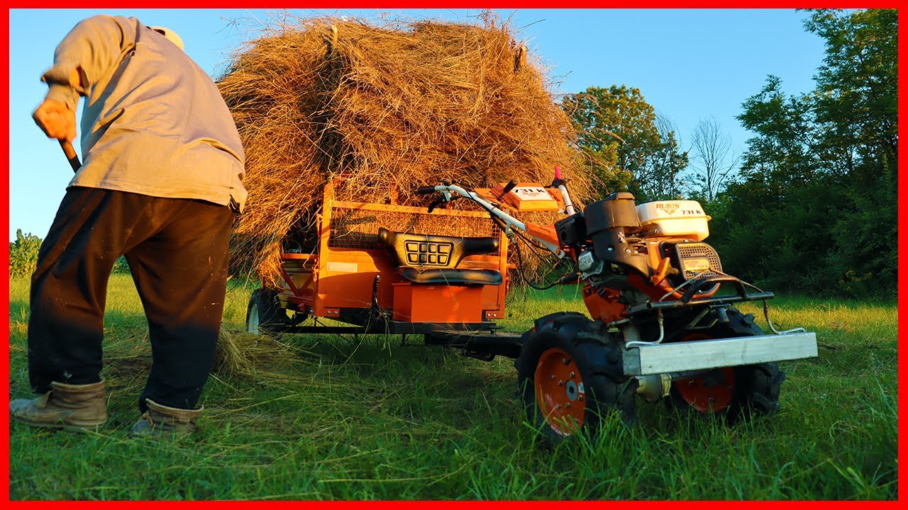 Am Cărat Fânu' cu Motosapa/Motocultorul RURIS 731k ACC și Remorca RURIS 750 Kg