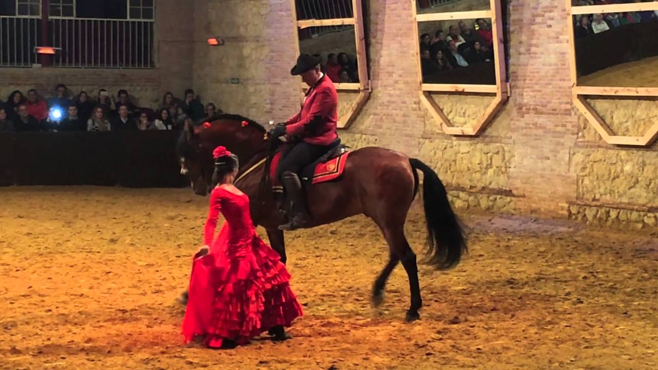 Caballerizas Reales Cordoba