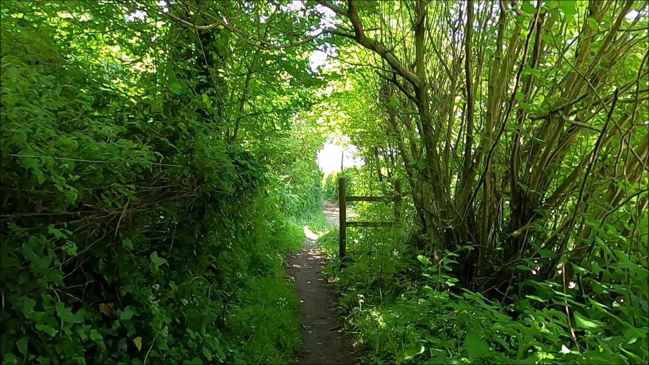 Virtual Walk - Rural Newport Back Into Town Via Pan Lane - Isle Of Wight - 8th May 2020 | kittikoko