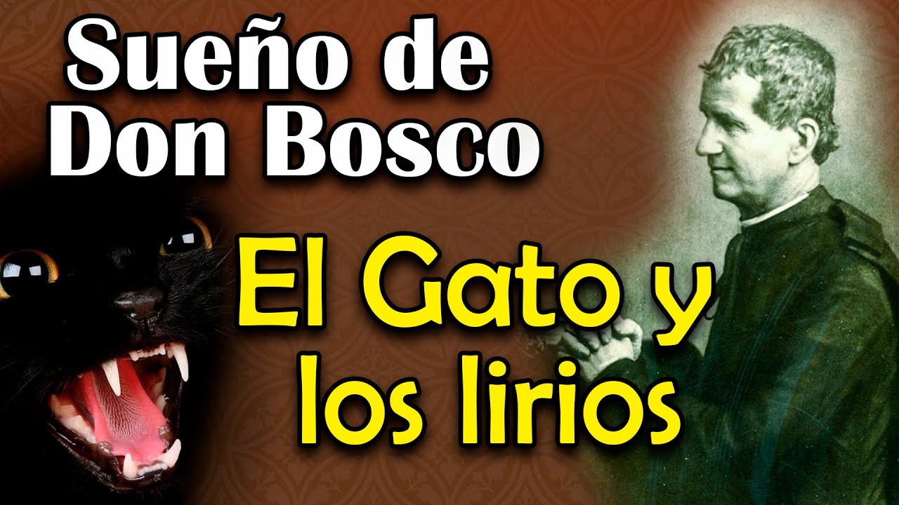 Sueño de San Juan Bosco. El Gato y los lirios