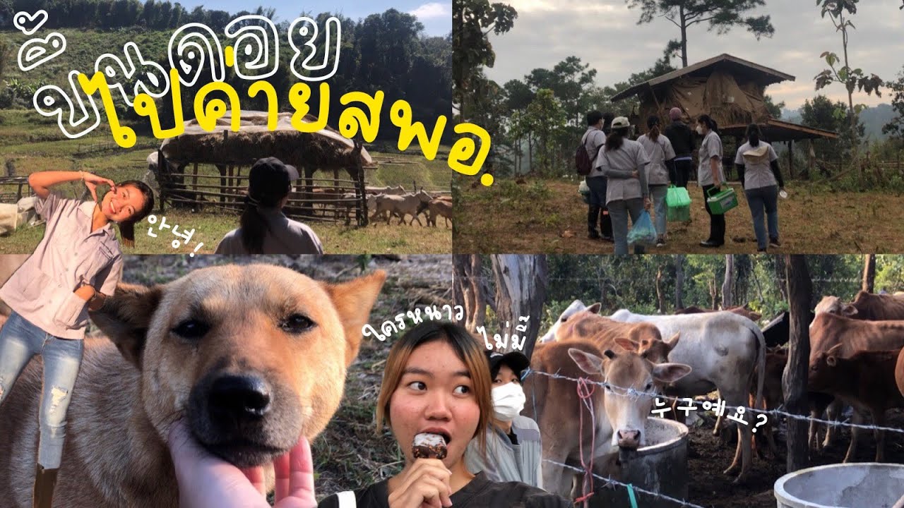 มาเล่าหยกๆ ep06 | ขึ้นดอยไปค่ายสพอ.กัน🐂!