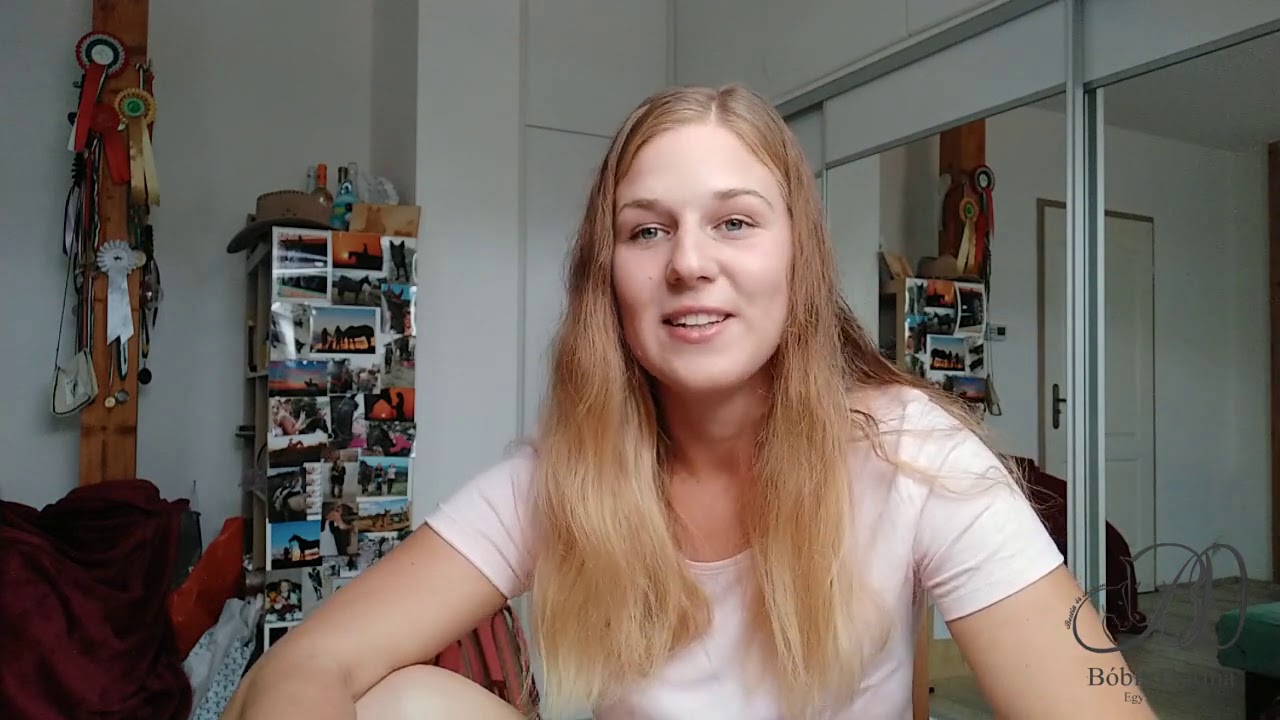 Mennyibe került a lovam fedeztetése? | Bóbis Dorina