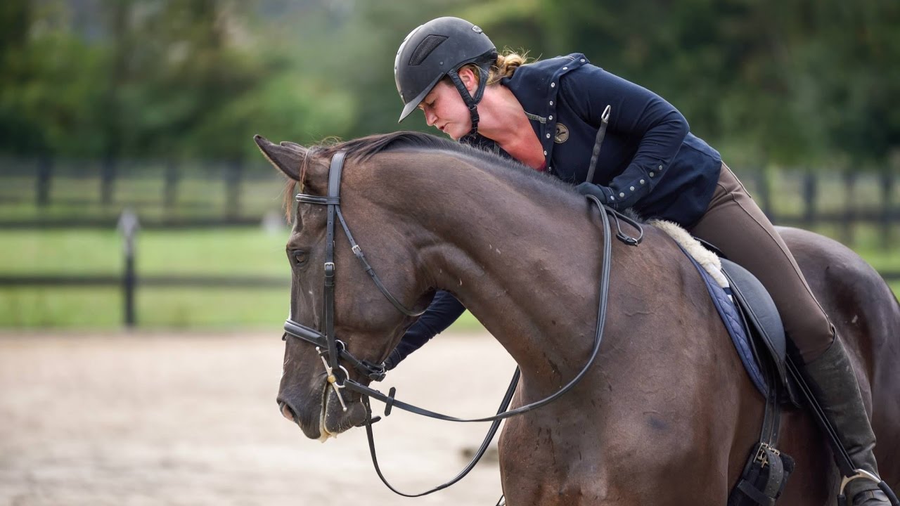 Giving Treats to Your Horse for Positive Reinforcement // Horse Training Tips
