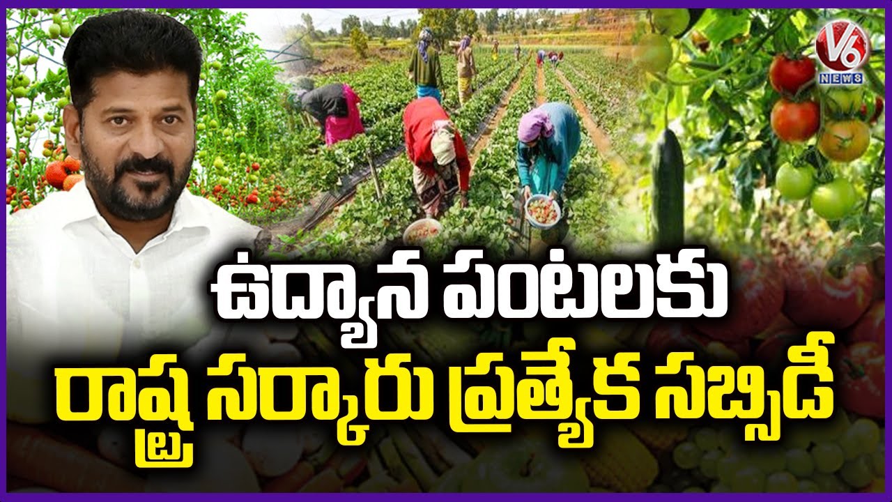 TG Govt Offering Special Subsidy To Encourages Horticulture Crops | V6 News