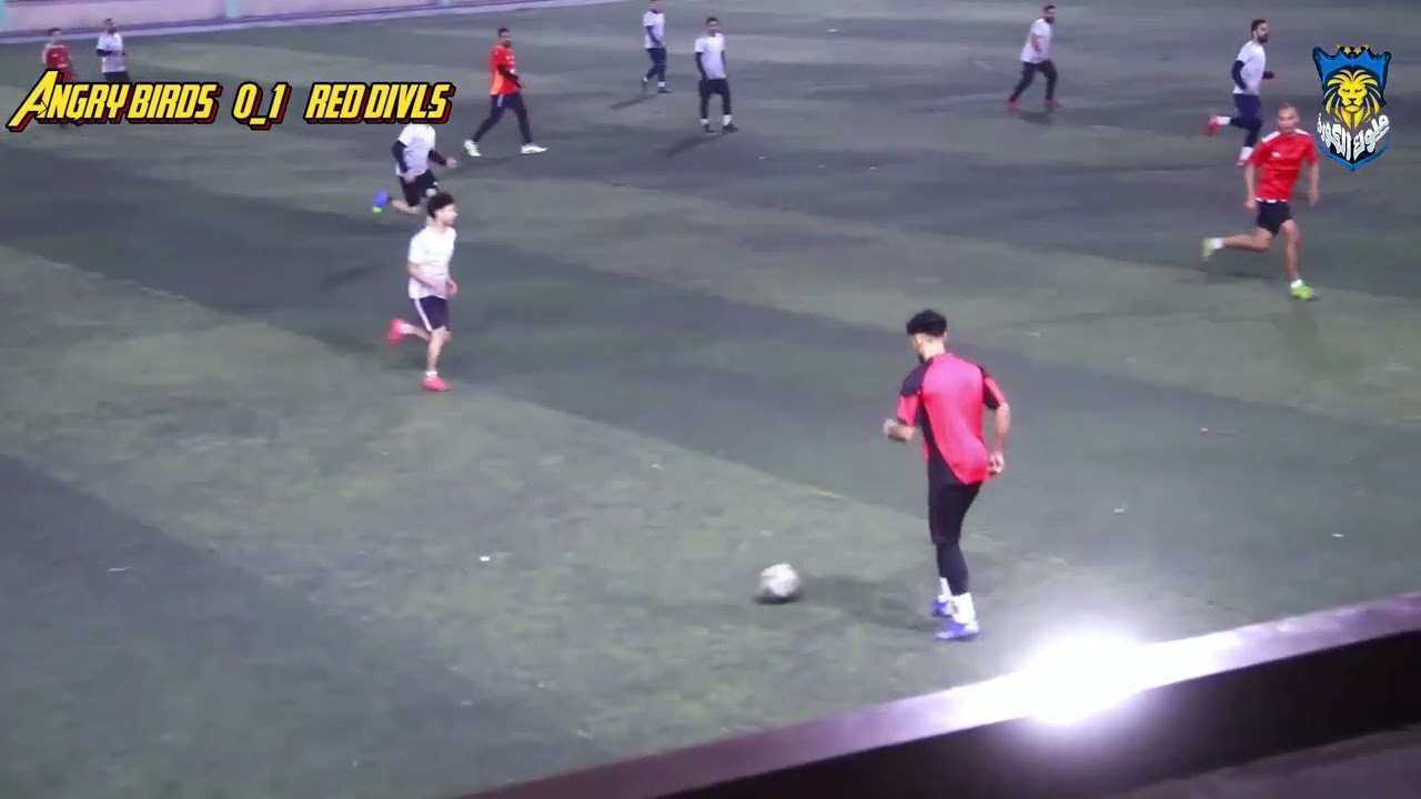 الطيور وريد ديفلز ٣_٢