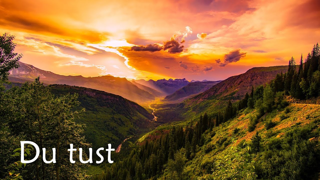 Du tust