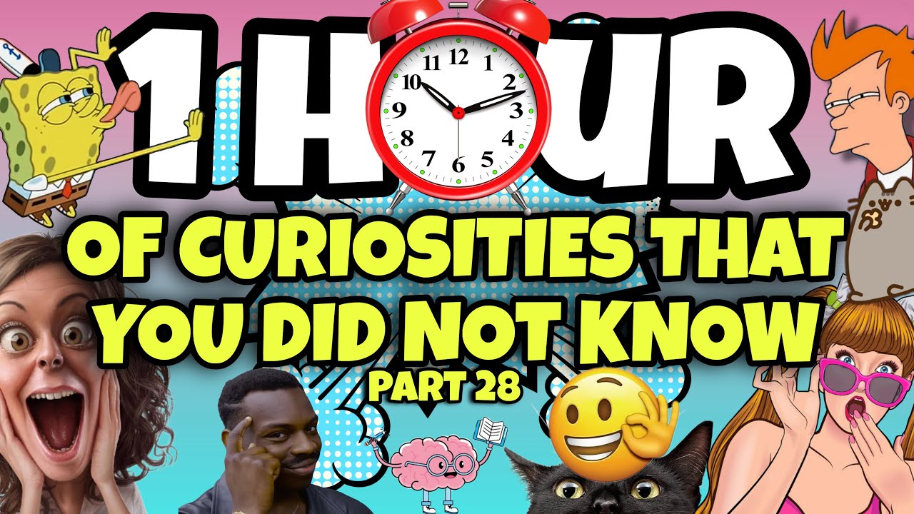 1 HOUR OF CURIOSITIES AND THINGS YOU DIDN'T KNOW 🧠⏰ #28