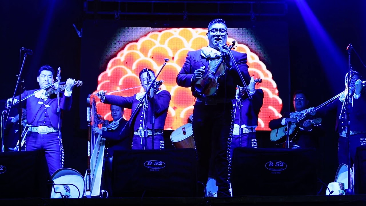 Mariachi de América POPURRI DE VICENTE FERNÁNDEZ