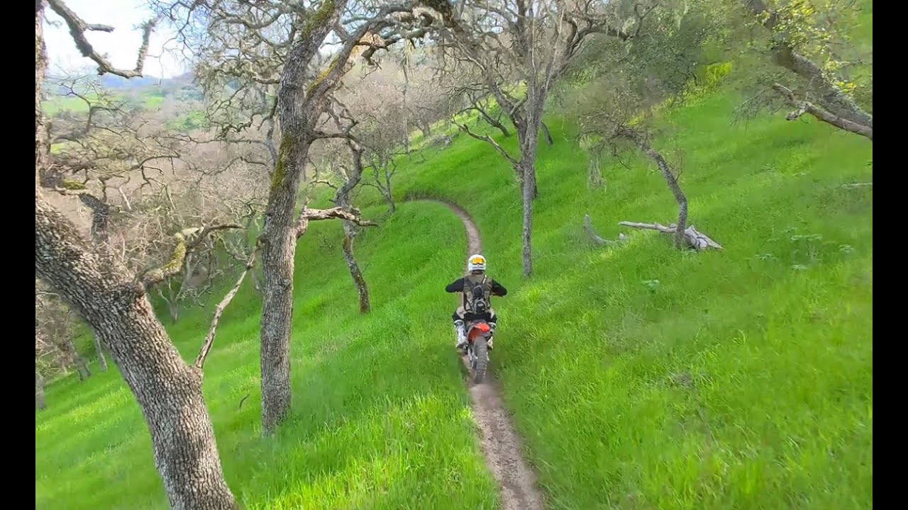 Riding chill, Hollister Hills // Beehive Singletrack trail