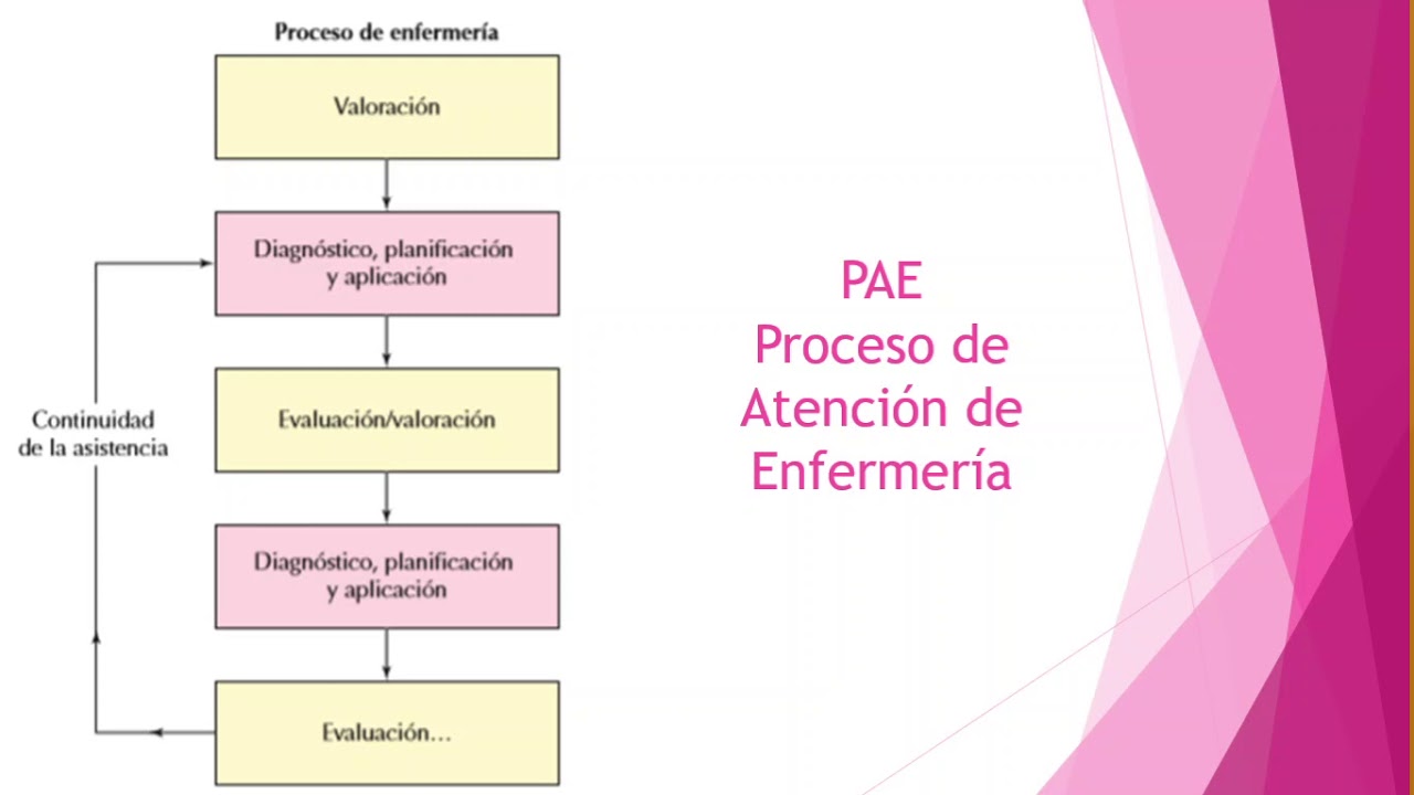Enfermería - Materno infancia - PAE Embarazada