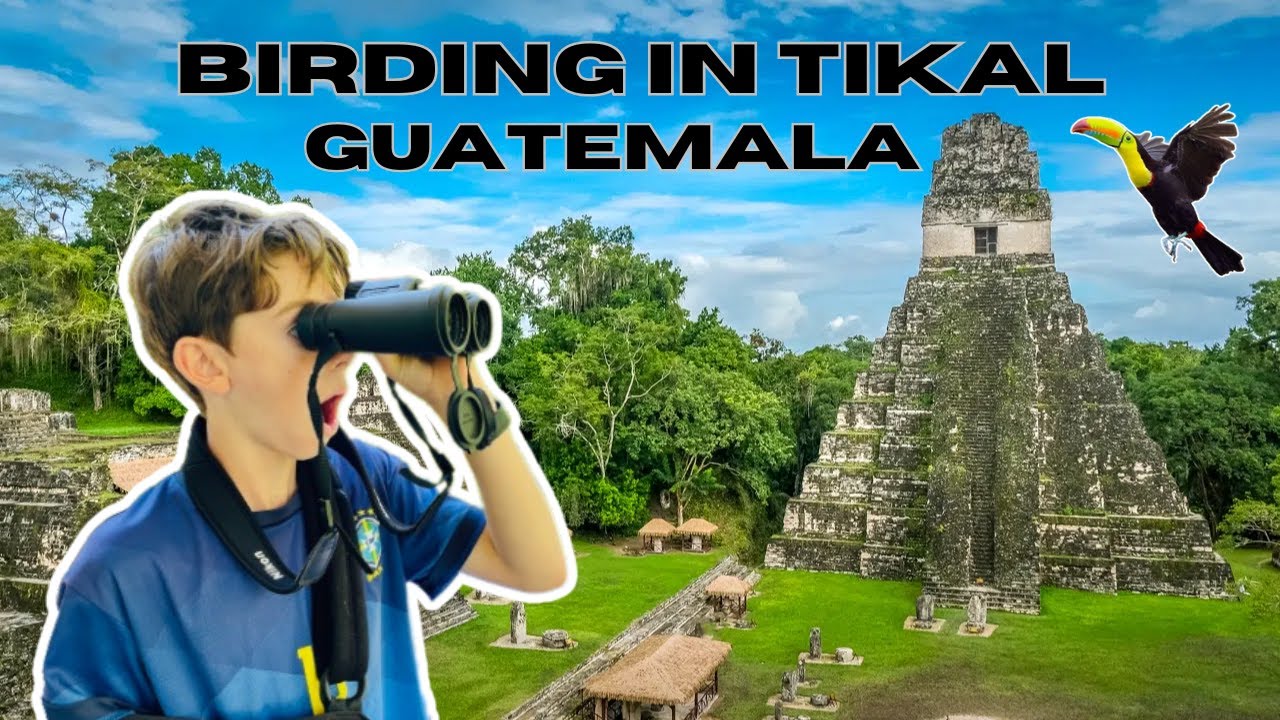 Birding in Tikal, Guatemala