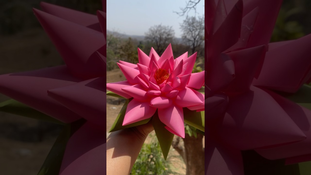 DIY Easy lotus flower🪷✨#shorts #art #diy #viralvideo#youtubeshorts #howtomake