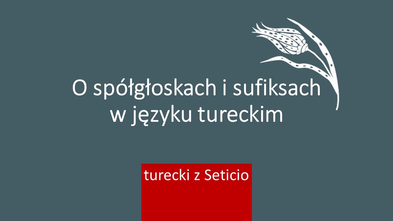 6. Turecki z Seticio - Lekcja 6 - O spółgłoskach i sufiksach w języku tureckim