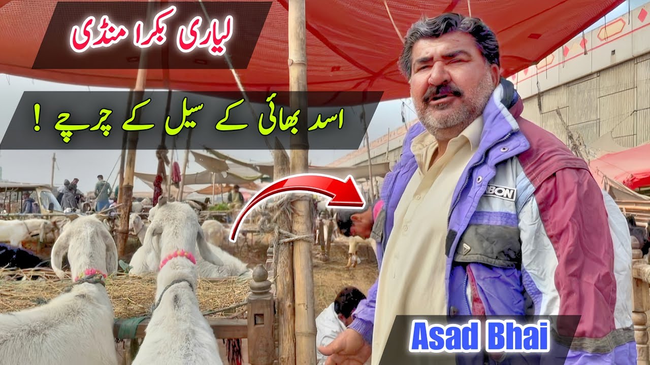 Asad Bhai Goat Business in Lyari Mandi | Full Market Tour 🐐📹