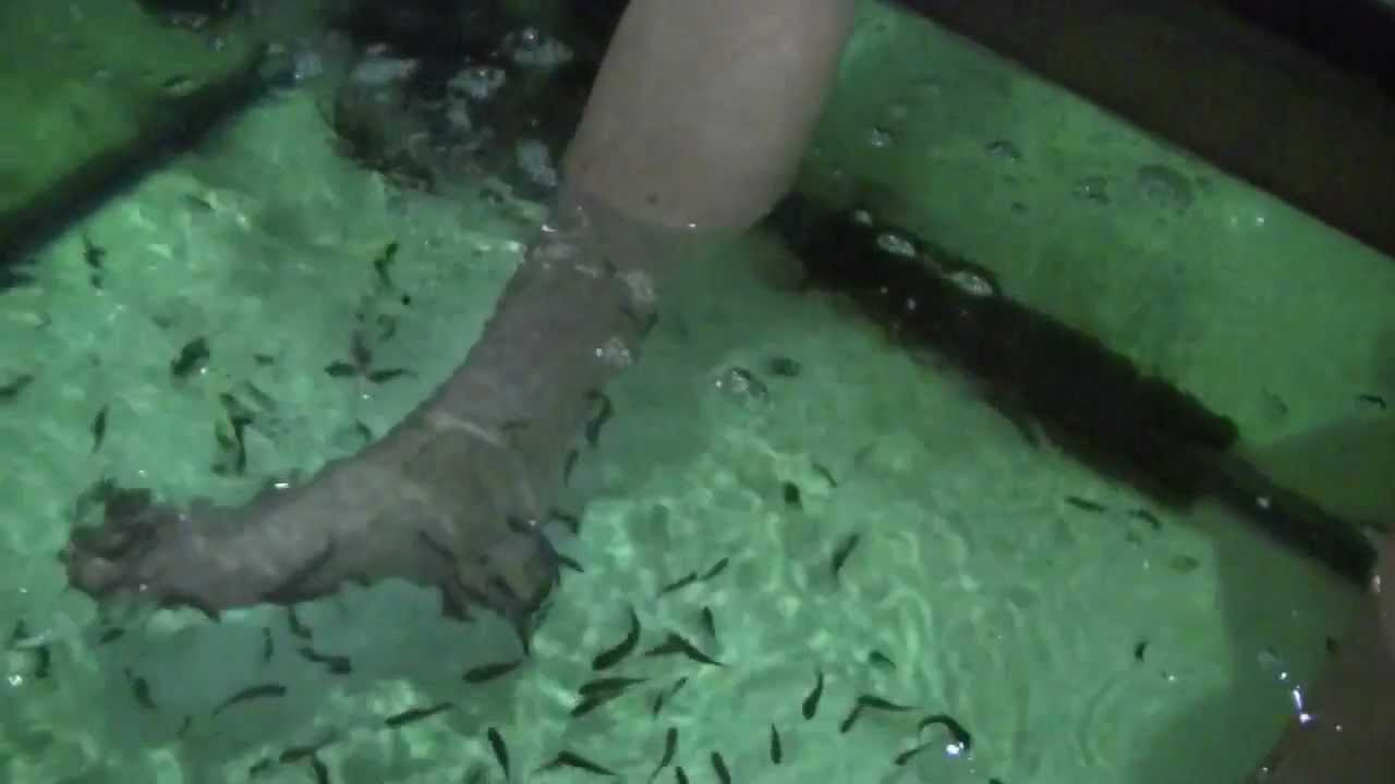 Feet eating fish in Bali