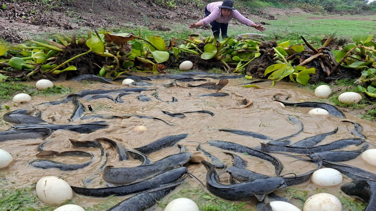 Wow, that's amazing. A woman caught a lot of fish and eggs in a large stream.