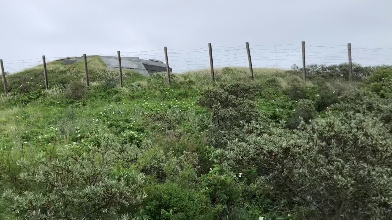 Atlantic Wall bunker 8776 at Scheveningen Radio