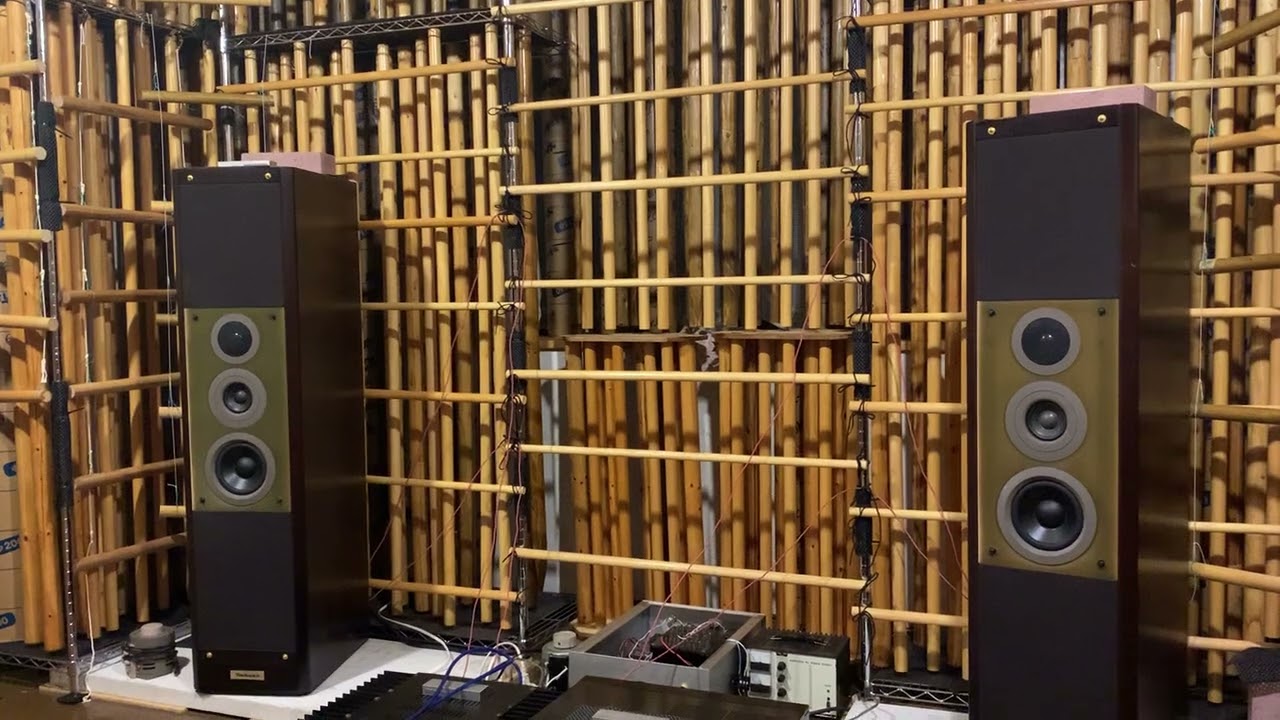 柴じゅんⅡ：テクニクスSB-M1000+AKGマイク