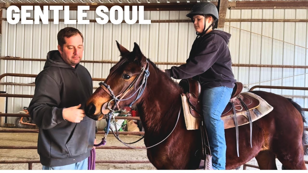 Training Your Heart Horse - A GENTLE First Ride