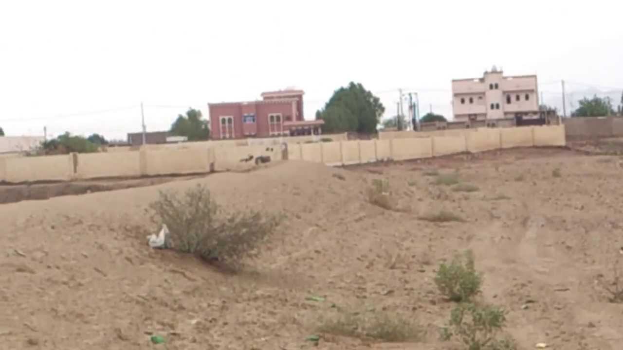 الوتد - الوادي