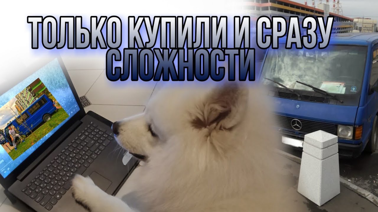 Трудности при постановке на учет, дом на колесах  VanLife и самоедская собака