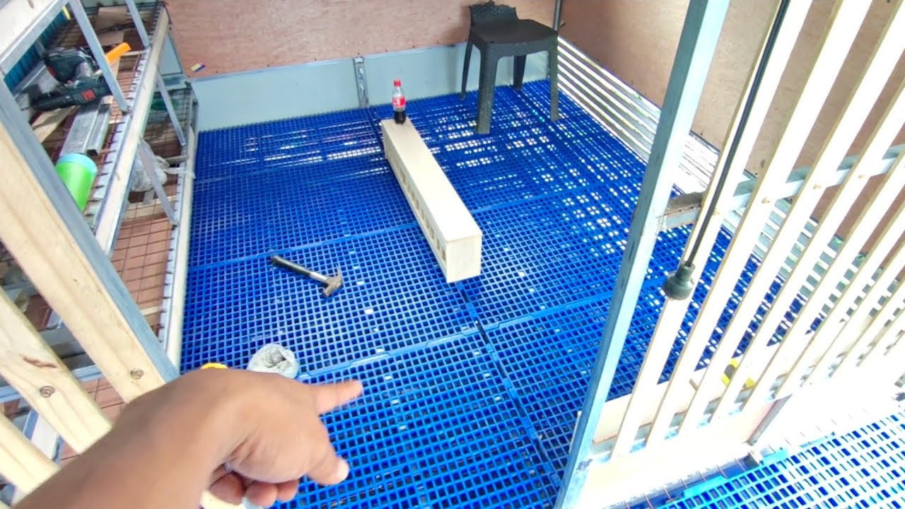 DAY 4 | HOMING PIGEON MILLION LOFT