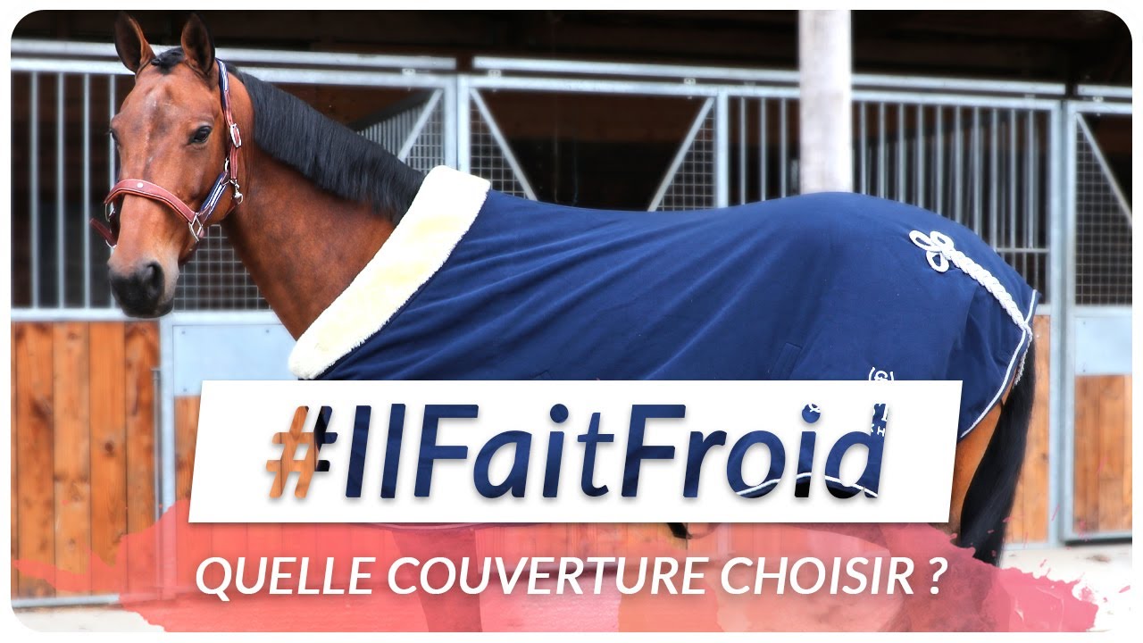 COUVRIR MON CHEVAL OUI ! ❤️ MAIS COMMENT CHOISIR ? 🥶 | #OHLALATIPS
