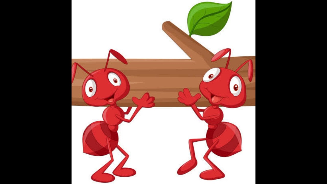 النمل 🐜🐜🐜