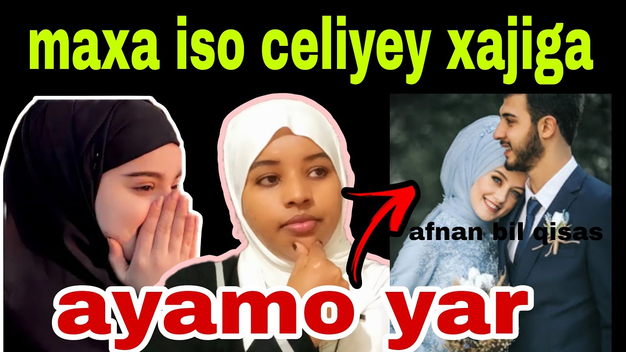 ma aminaysa waqtiyar iyo  digrigan ina ku arkay wax mustaxil dadka agtoda ka aha@afnaaneddabsan