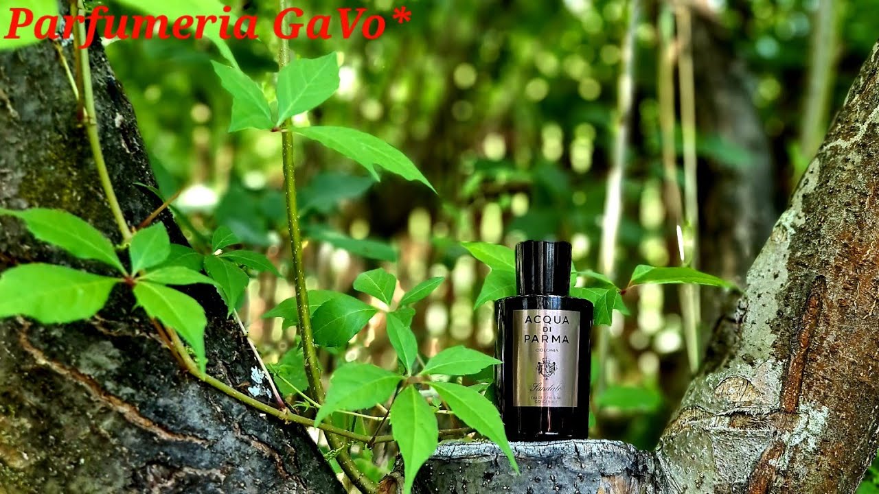Singurele Parfumerii Online pe care le Recomand! ~ Parfumeria GaVo*