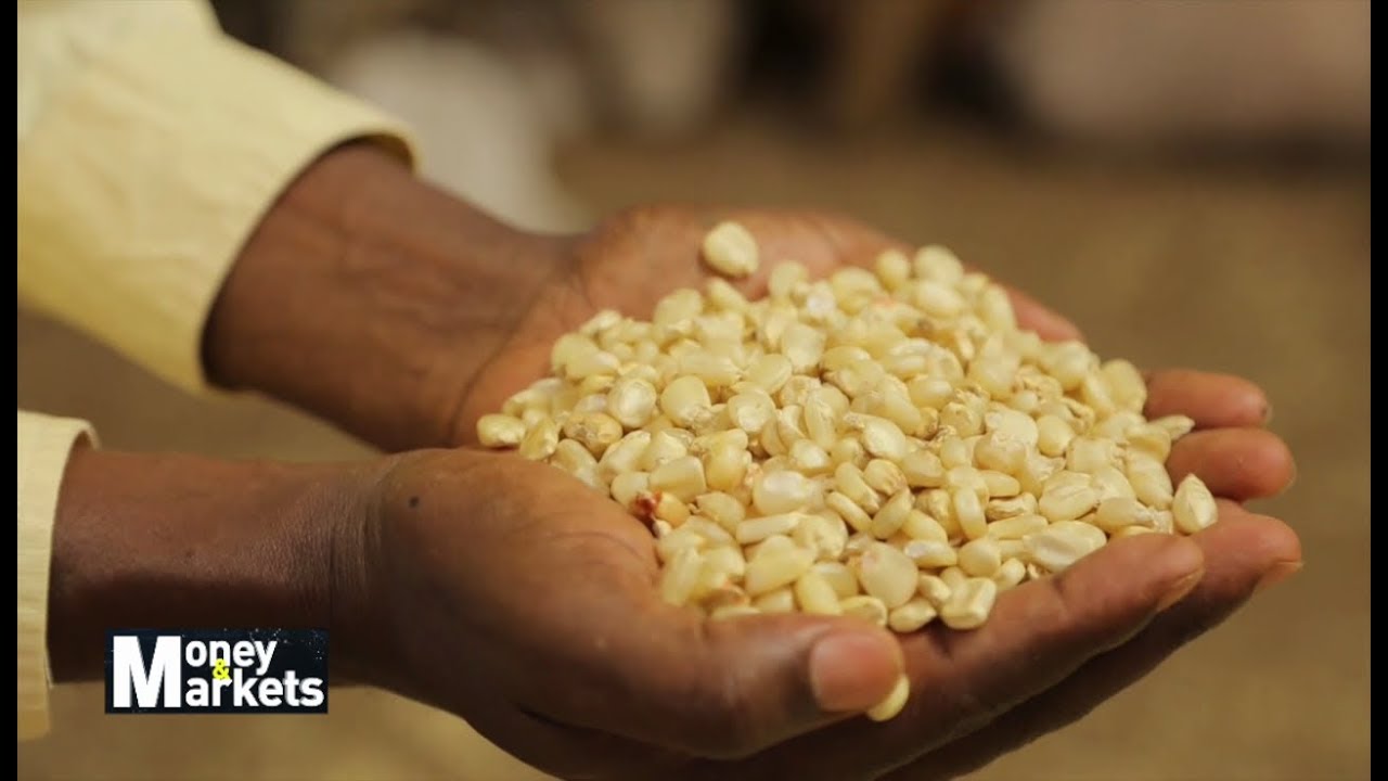 How Strengthening Of Agricultural Value Chains Is Impacting On Farmers&rsquo; Incomes