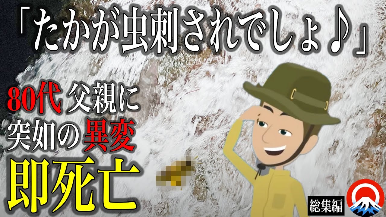 【総集編】自然を侮った登山者達、、その末路とは、、【総集編】　【地形図とアニメで解説】
