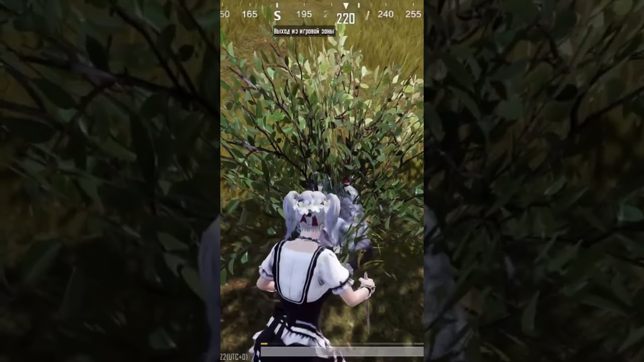 Нефертити 🥰🥰🥰 #pubg #mobile #нефертити