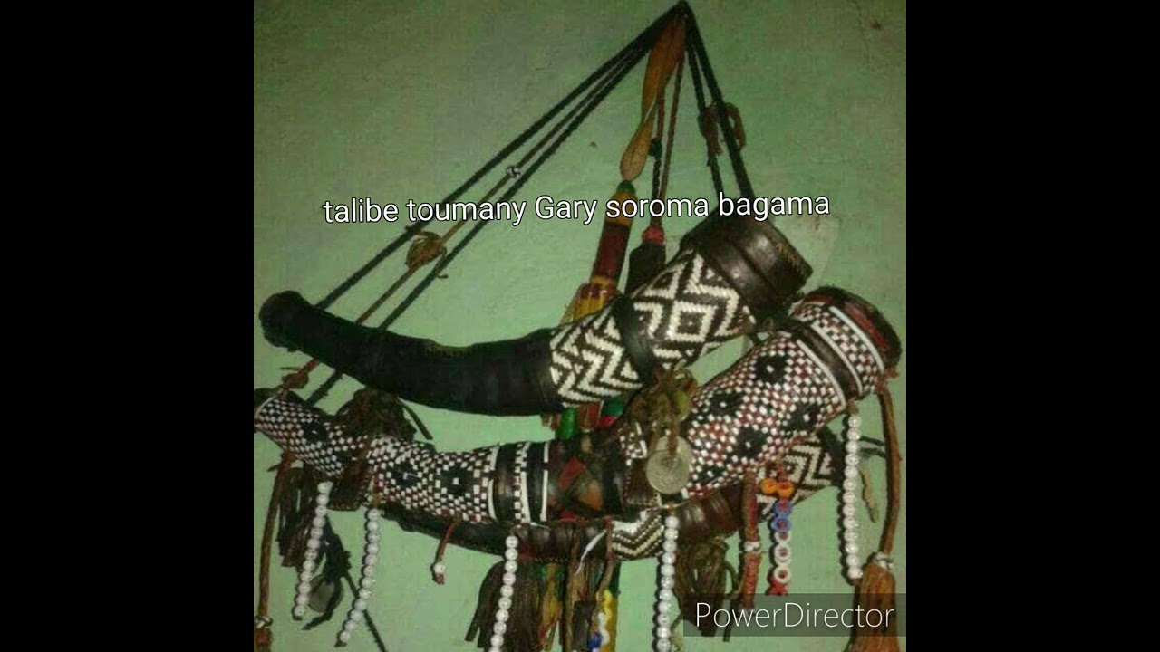 talibe moussa Sylla dit sambe vs Fatou kaba Gambie