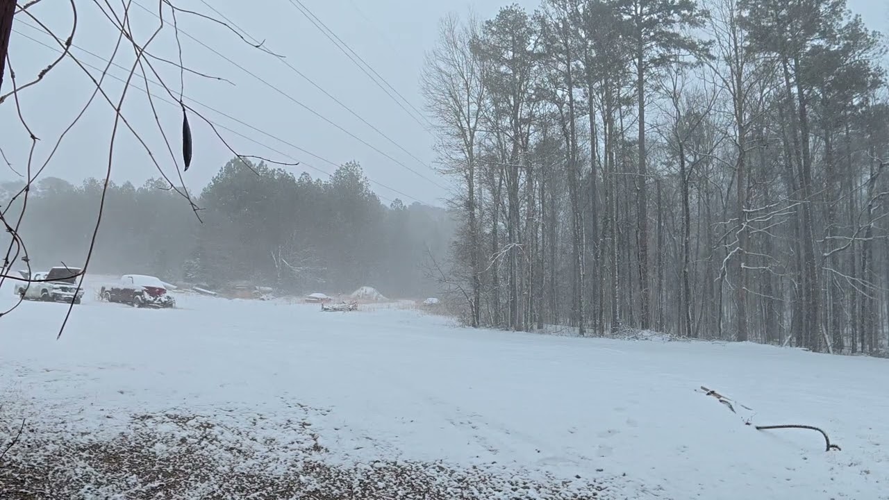 Winter Snow Storm Feb 2nd 2026 #snow #winter #snowvideo #youtubevideo #timecapsule #storm #video