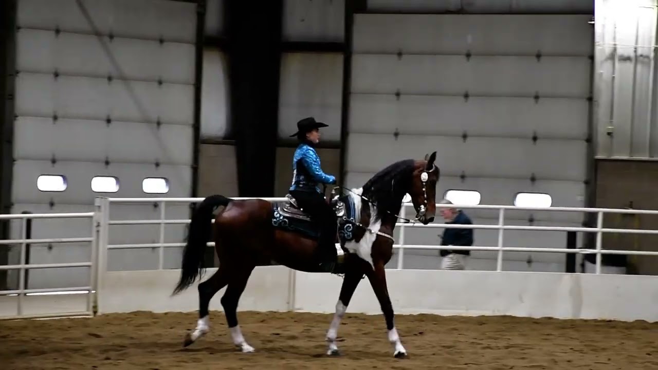 Nic and Ah Spotz in Class 120 - Open Western Pleasure Championship @ Spooktacular on Oct 19, 2025