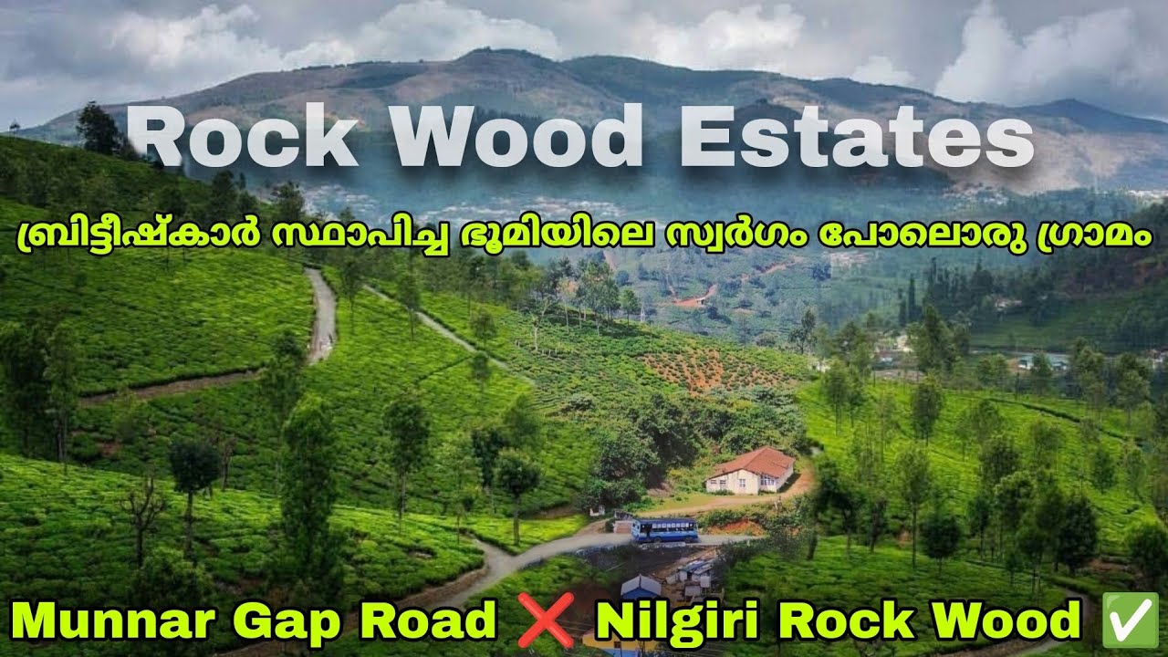 Rock Wood Estates in The Nilgiris