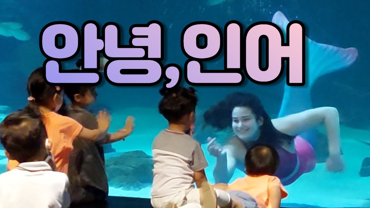 안녕,인어 - 대구 아쿠아리움 소개 (The Little Mermaid performance at the Daegu Aqurium in Daegu, South Korea)