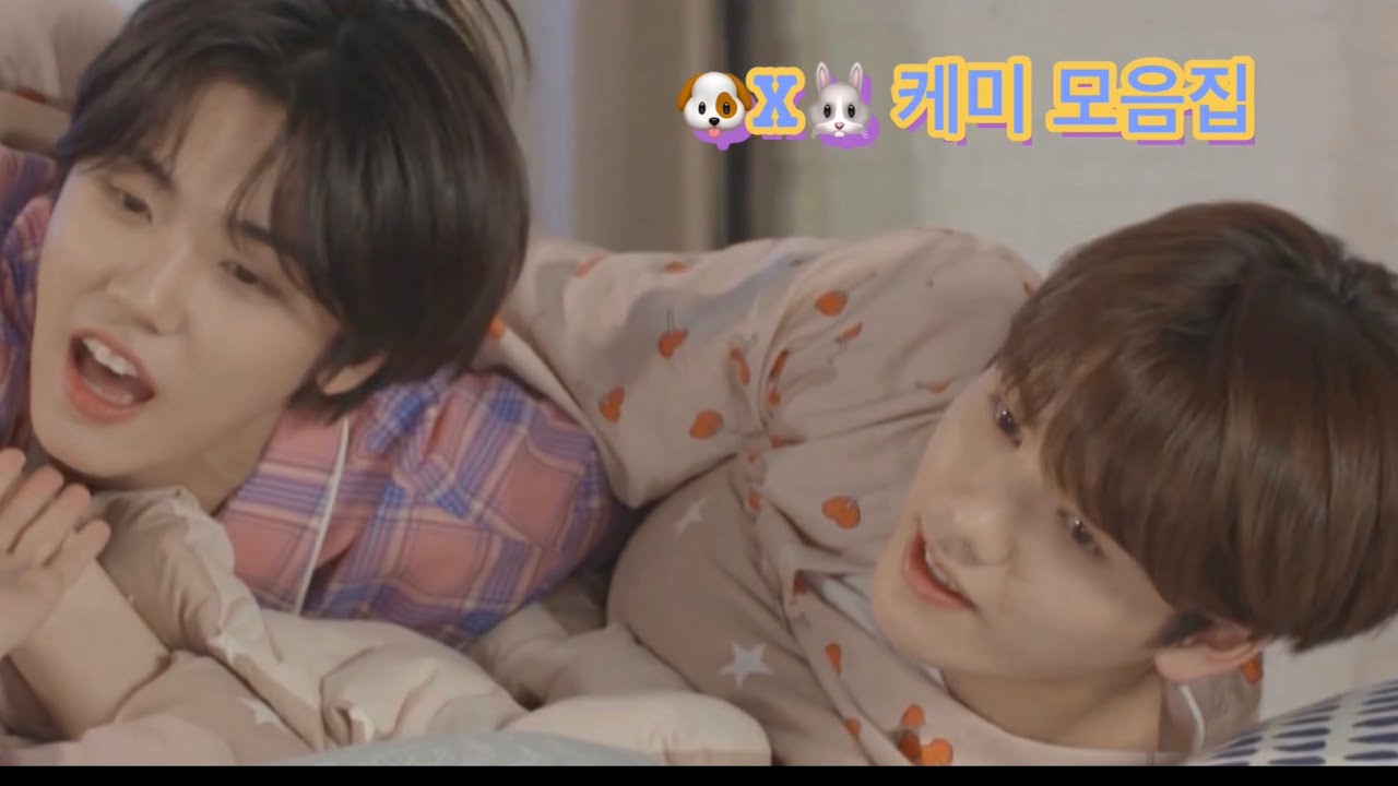 [크래비티/CRAVITY] 🐶X🐰 케미 모음집