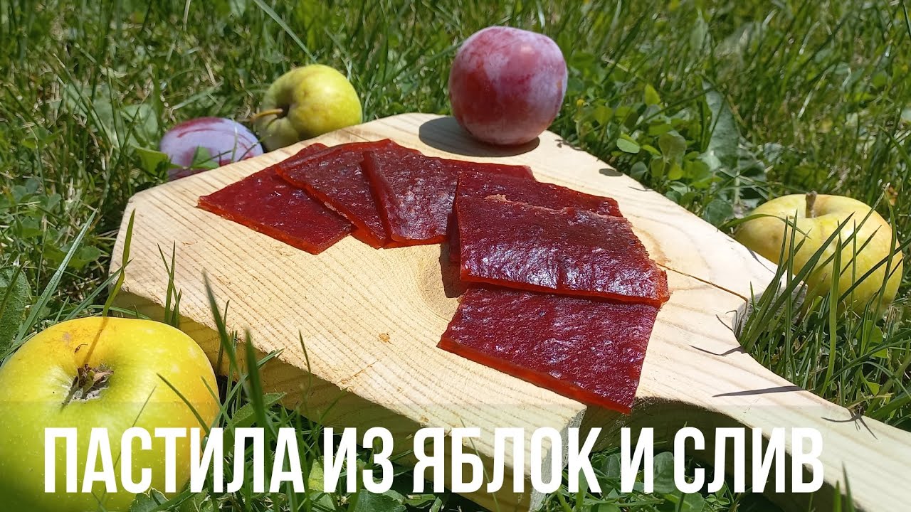 Простой и легкий рецепт пастилы из слив и яблок